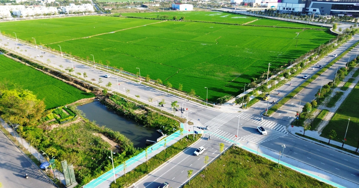 Đề xuất nhiều giải pháp ‘gỡ rối’ giao thông giờ cao điểm ở Huế