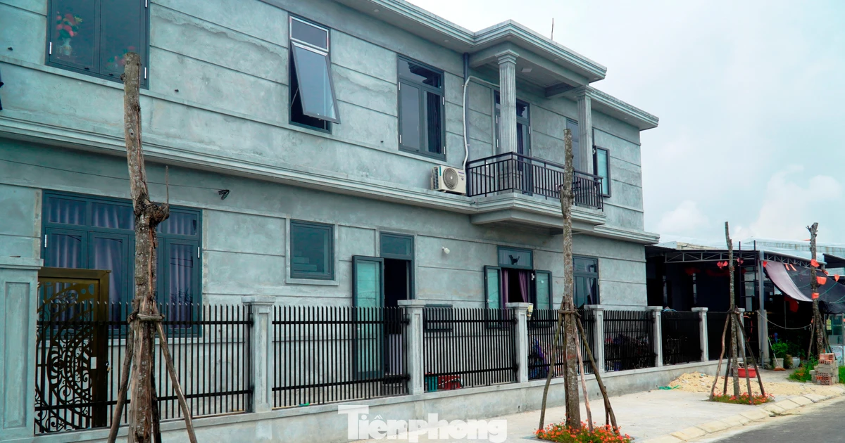 Bỏ mặc cây xanh thành 'củi khô' hàng loạt giữa khu định cư mới