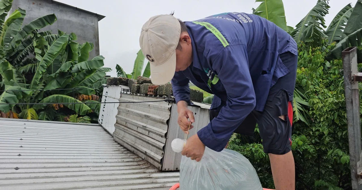 Cách độc đáo của người Huế chống bão và bảo vệ nhà cửa