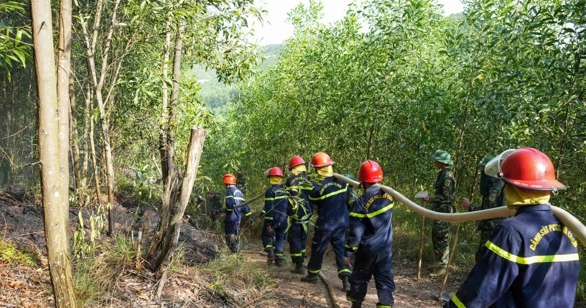 Liên tiếp xảy ra cháy rừng tại nhiều phường, xã ở Huế