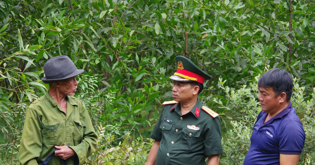 Xác minh mộ liệt sĩ cạnh nghĩa trang gia đình ở Huế