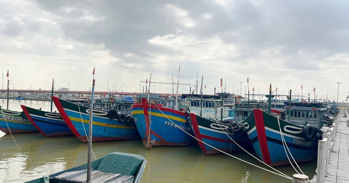 Huế quyết định chi trả hỗ trợ nhiên liệu cho ngư dân sau nhiều năm hồ sơ bị 'treo'