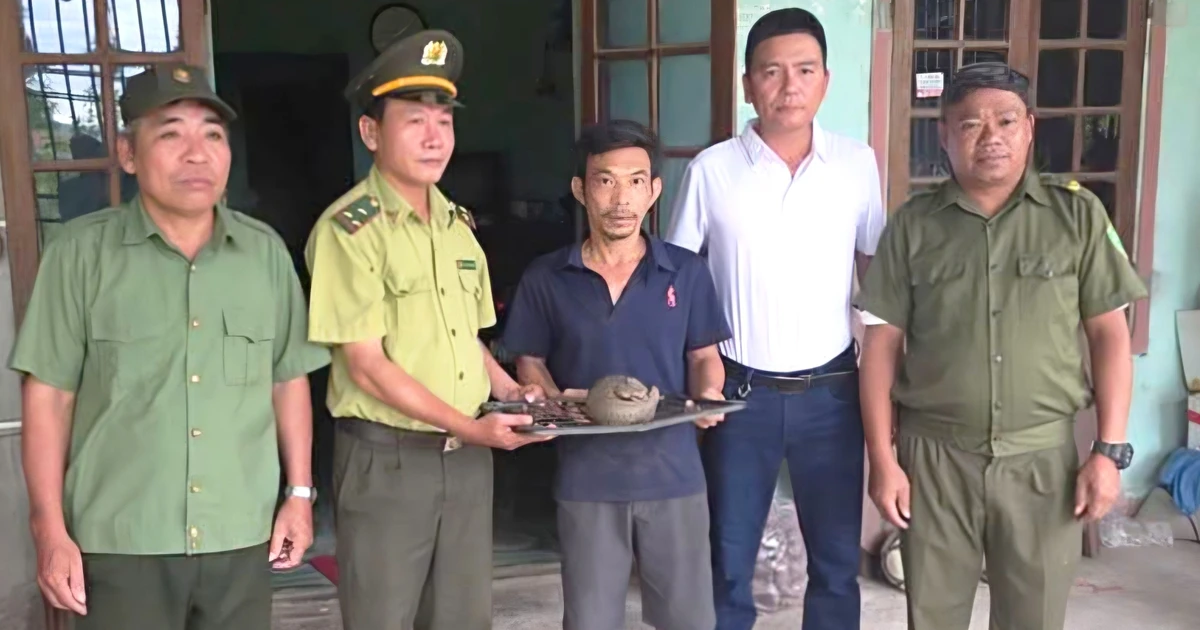 Phát hiện cá thể động vật quý hiếm trên quốc lộ