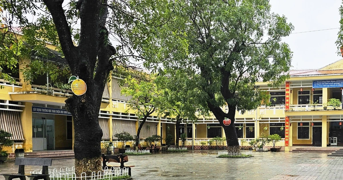 Sức khỏe các học sinh bị nôn ói sau bữa ăn trưa ở Huế hiện ra sao?