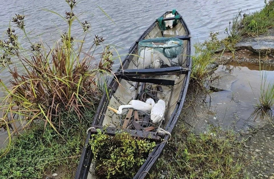 Bắt ‘tại trận’ hai người đàn ông giăng bẫy tận diệt chim trời