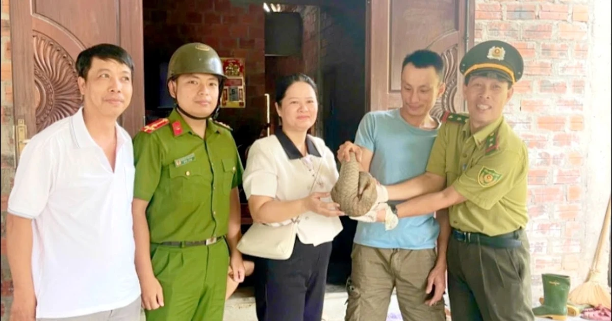 Phát hiện động vật quý hiếm 'lạc' vào vườn cao su ở Huế