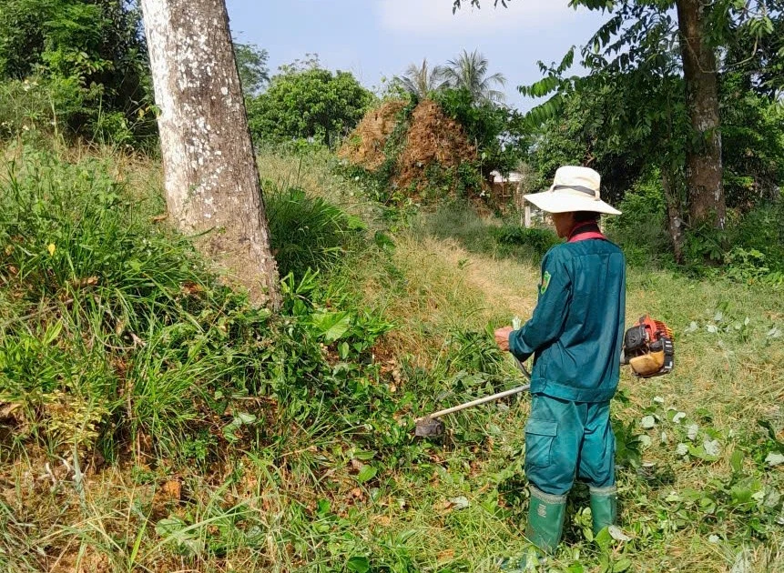 Phường phản ứng tức thì sau phản ánh di tích nghìn năm trong cảnh hoang phế