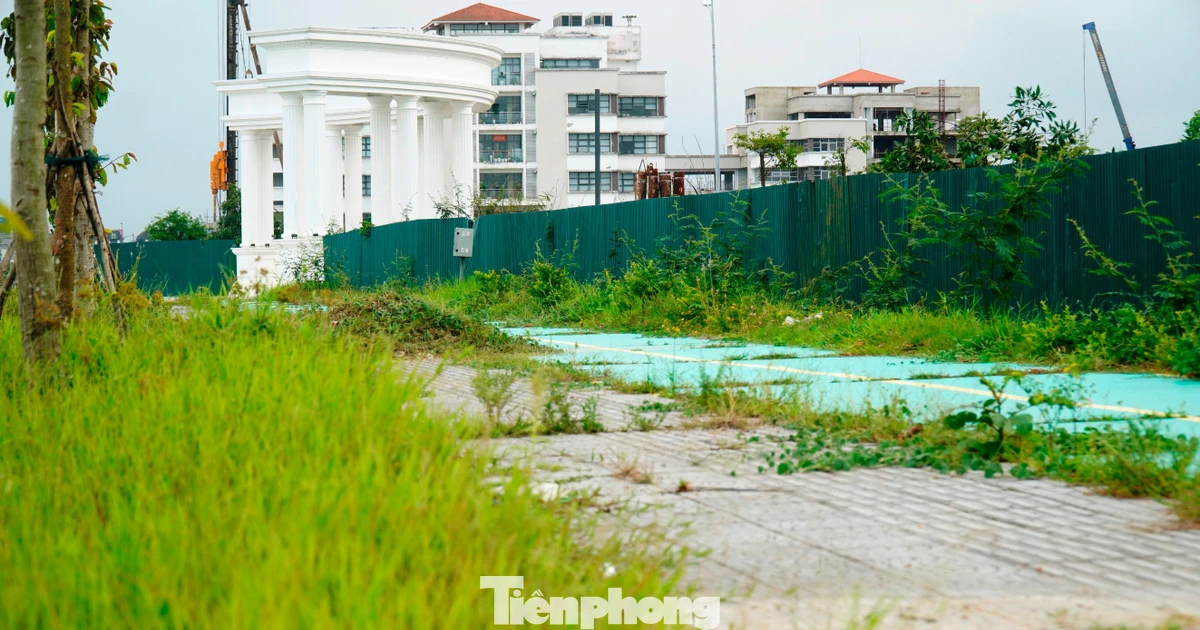 Ai quản vỉa hè, công viên, đường đạp xe thuộc dự án đô thị xanh nghìn tỷ ở Huế?