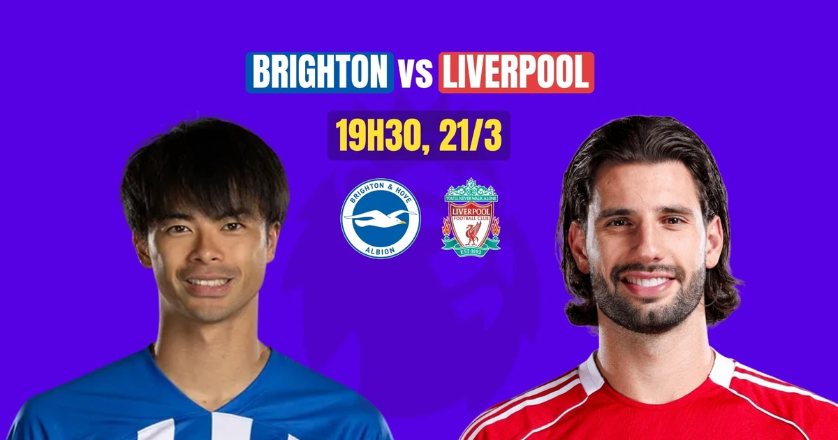 Nhận định Brighton vs Liverpool, 19h30 ngày 21/3: Ẩn chứa bất ngờ