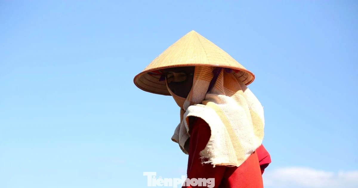 Cảnh người lao động ‘đốt sức’ giữa trời nắng đỉnh điểm