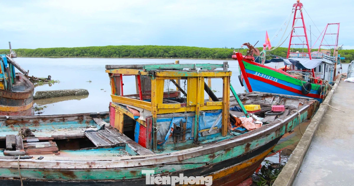 Hàng loạt tàu thuyền mục nát nằm ngổn ngang