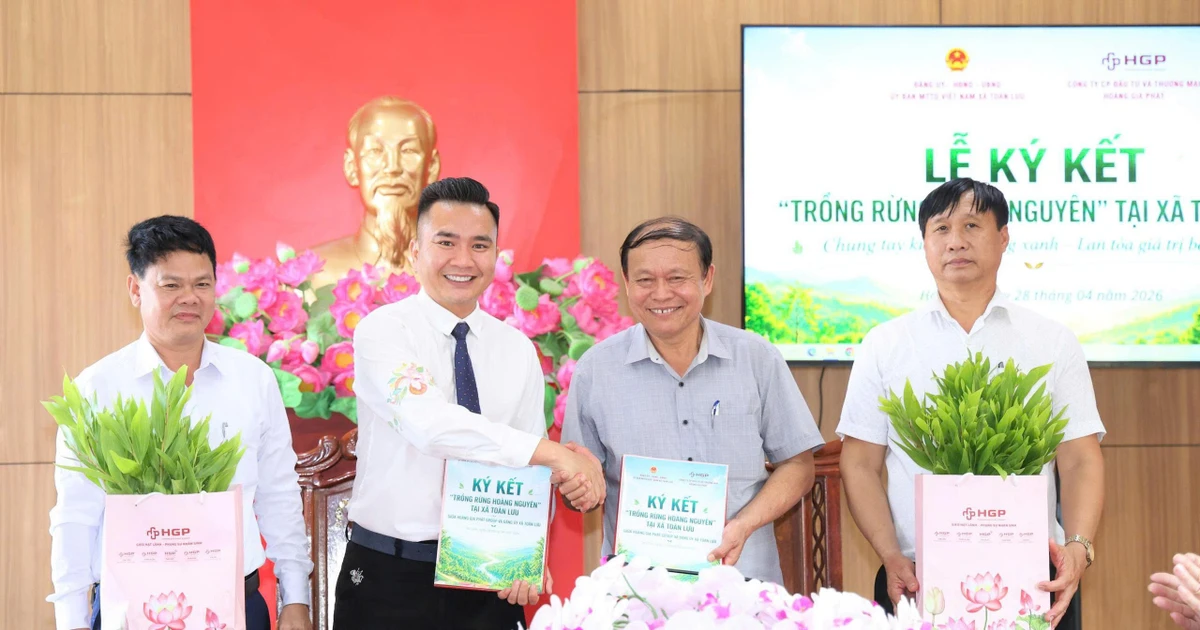 Xây dựng mô hình trồng rừng theo tiêu chuẩn FSC, nâng cao giá trị sản xuất và quản lý rừng bền vững