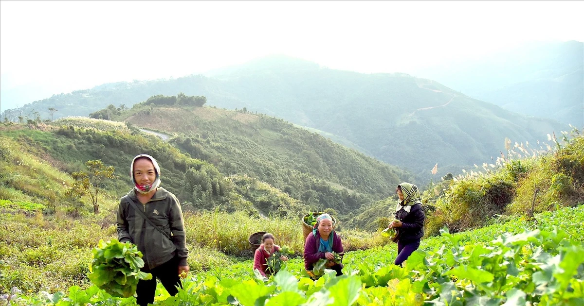 Chuyển đổi nghề giúp người dân miền núi Nghệ An vững tin phát triển kinh tế