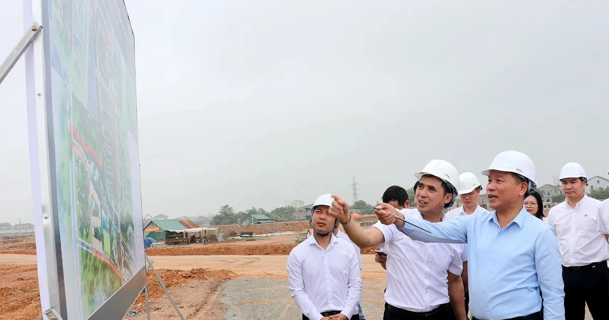Hàng nghìn căn nhà ở xã hội mở lối an cư cho người thu nhập thấp ở Nghệ An
