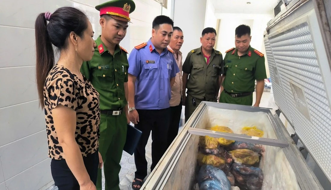 Khởi tố đối tượng giết mổ, tiêu thụ thịt lợn nhiễm dịch tả châu Phi