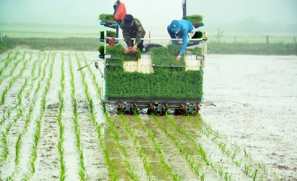 Nghệ An tạo đột phá trong phát triển nông nghiệp sạch, nông nghiệp chất lượng cao