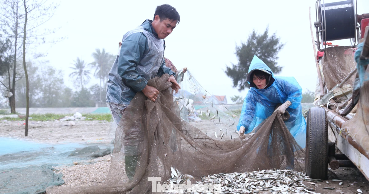 Ngư dân vươn khơi bám biển, kiếm thêm thu nhập dịp nghỉ lễ