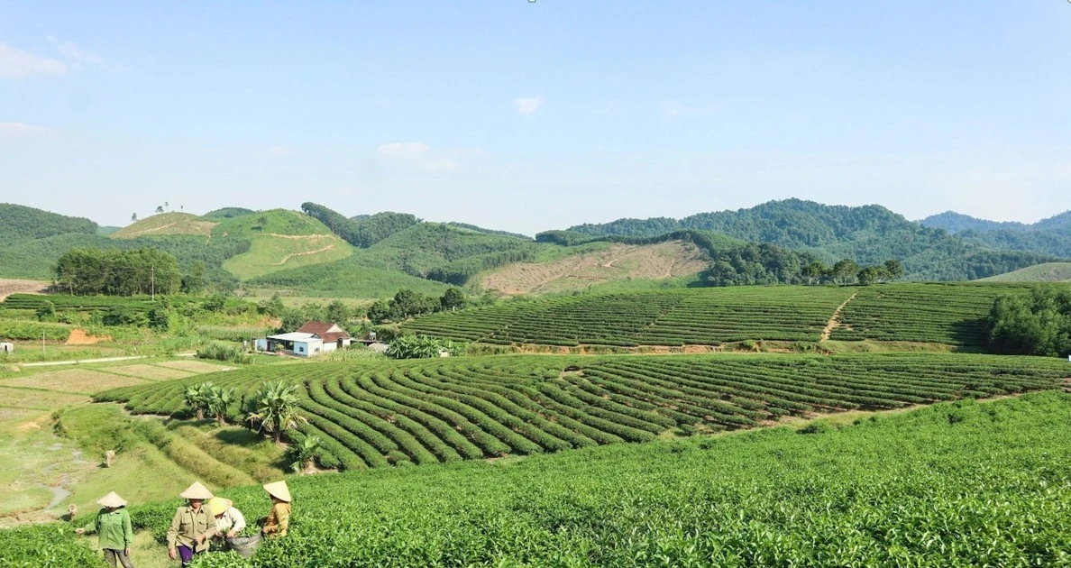 Nghệ An phát triển nông nghiệp công nghệ cao trên hành lang kinh tế đường Hồ Chí Minh