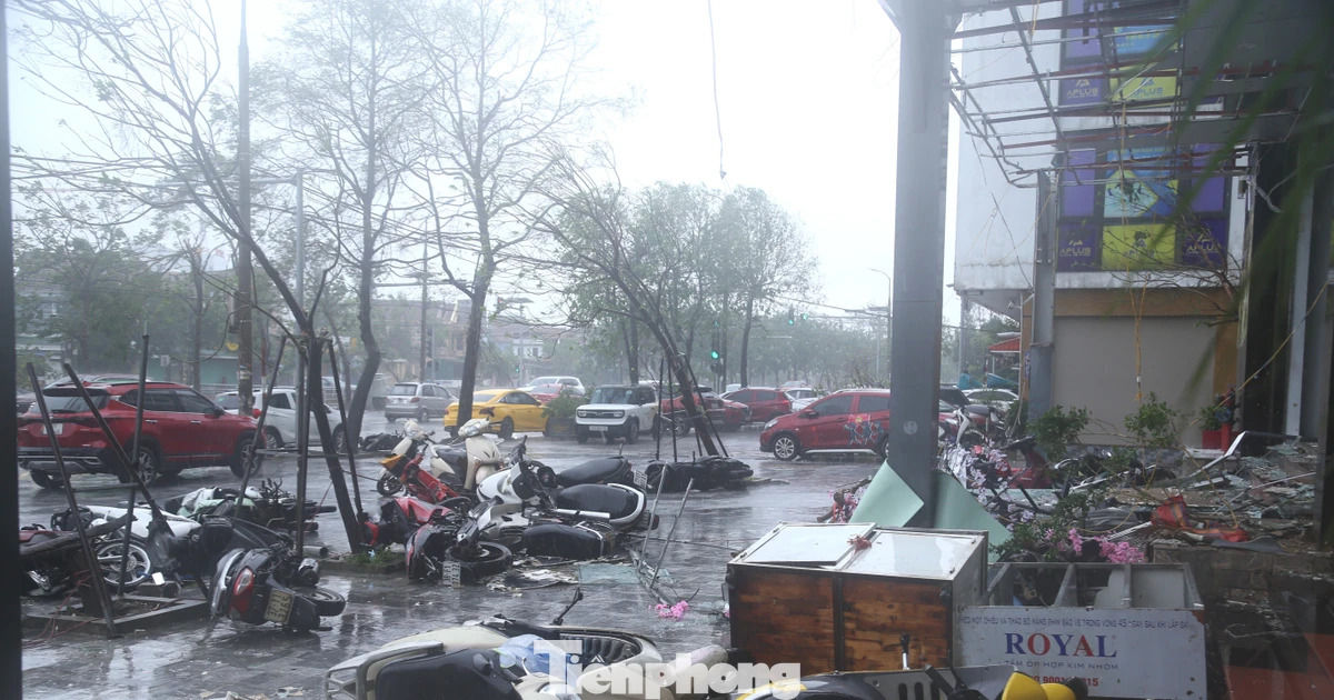 tienphong.vn