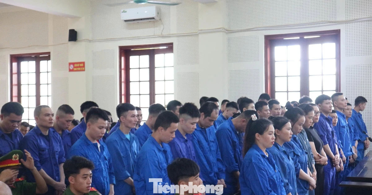 48 bị cáo trong đường dây lừa đảo xuyên quốc gia hầu tòa