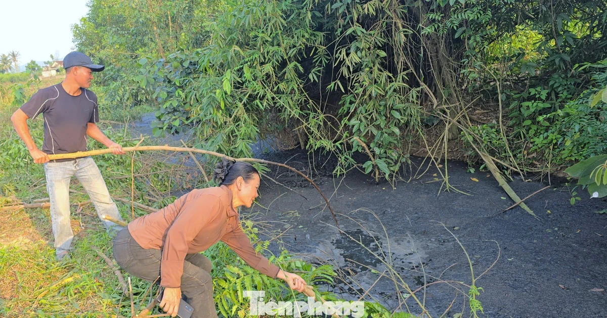 Dân lo lắng khi nước suối bất ngờ chuyển màu đen đặc vì ô nhiễm
