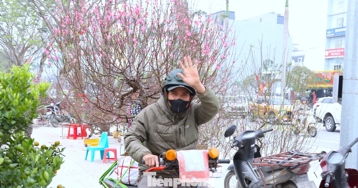 Ngược xuôi những chuyến xe chở hoa, cây cảnh Tết