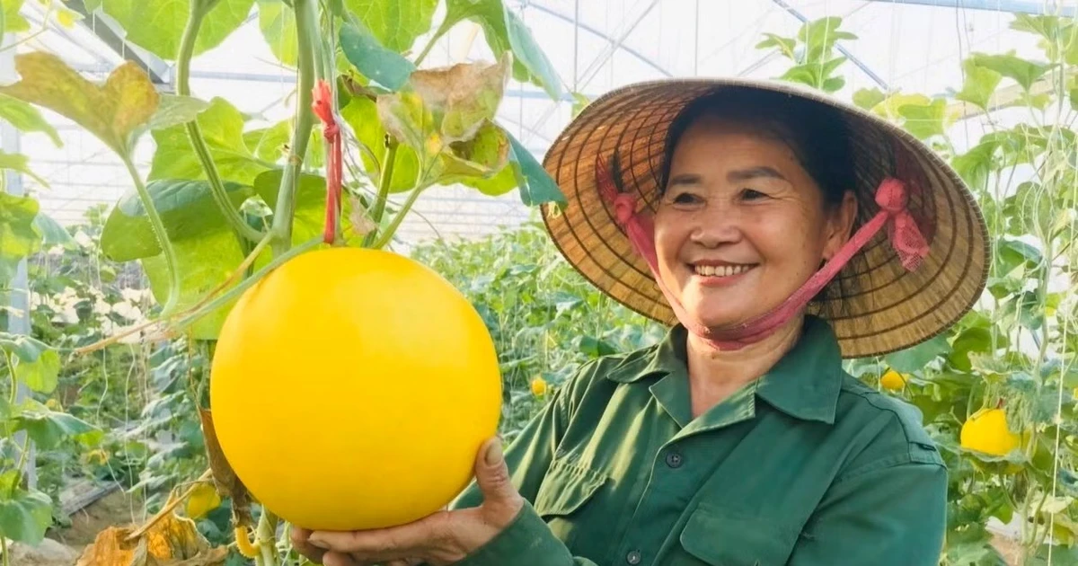 Nghệ An tích cực đưa nghị quyết vào cuộc sống