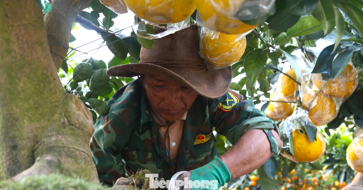 Vất vả mưu sinh những ngày cận Tết