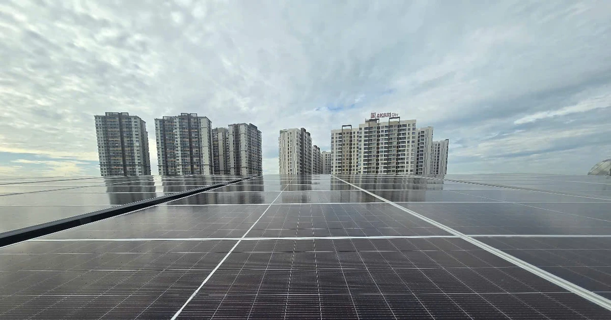 Lo ngại tiền điện tăng cao, người dân tức tốc 'tung' hàng trăm triệu đồng lên mái nhà