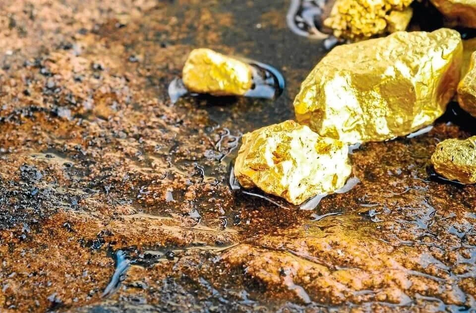 Giá vàng bạc tăng vọt, doanh nghiệp khai khoáng lãi đậm