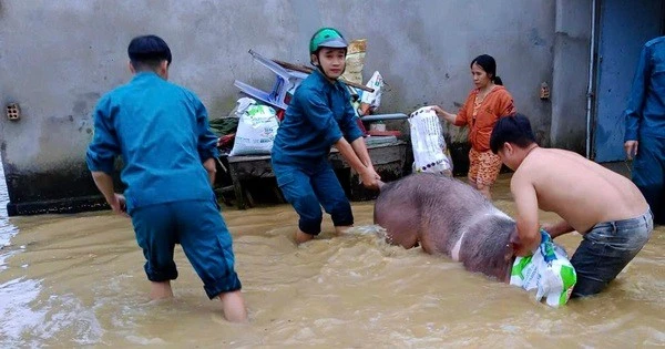 Hình ảnh di dời người dân ra khỏi vùng ngập úng do thủy điện Trị An xả lũ