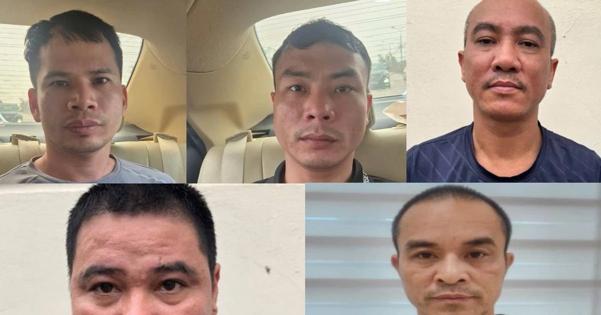 Triệt phá ổ nhóm bắt trộm hơn 300 con mèo trên địa bàn Hà Nội