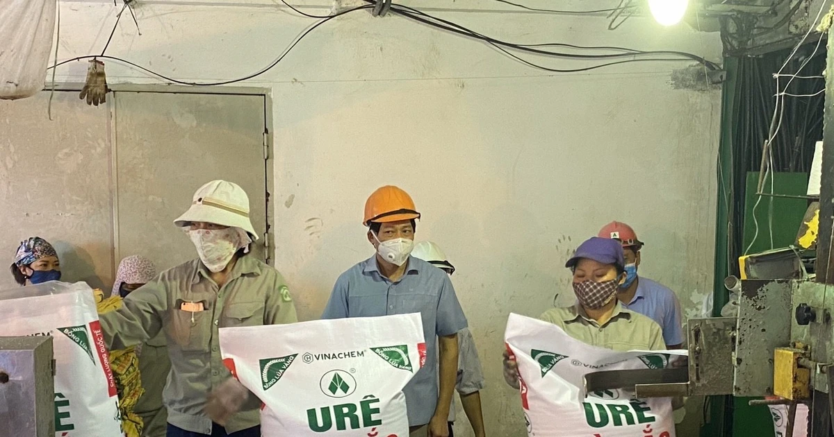 Để kinh tế nhà nước dẫn dắt, mở đường