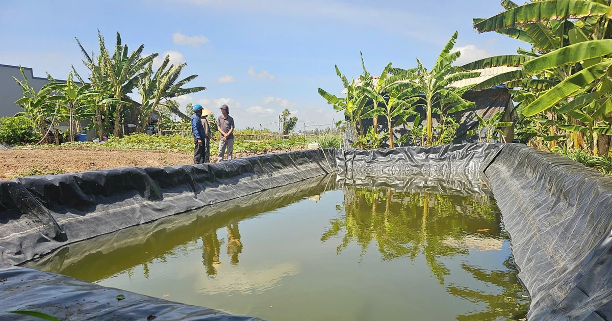 Những giếng đào trơ đáy