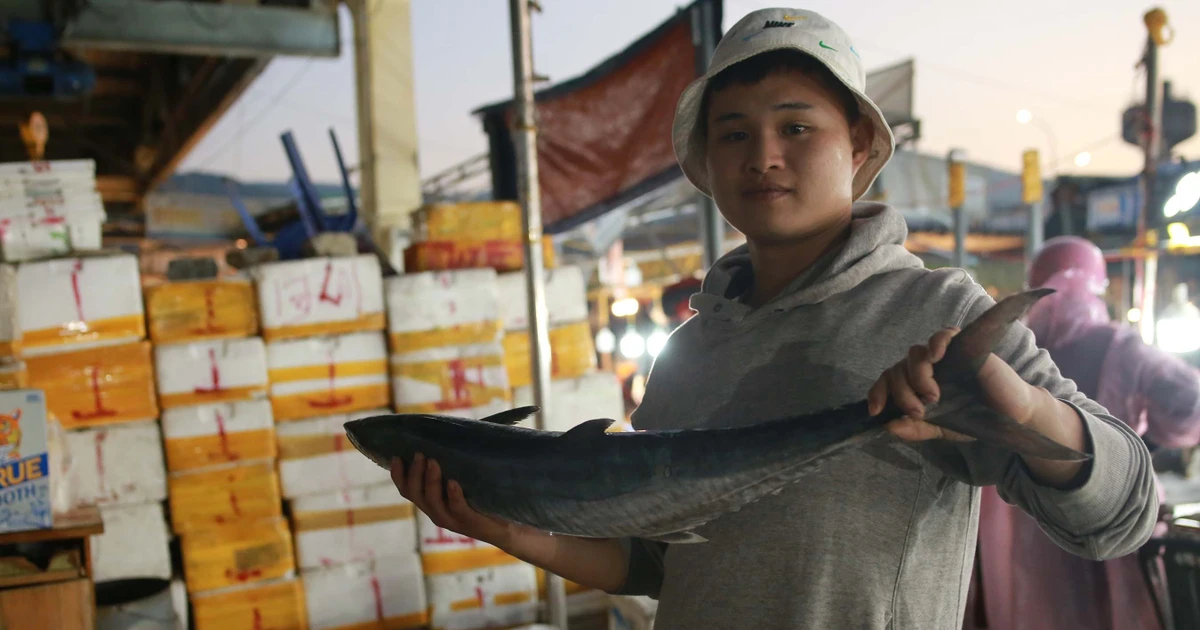 Ban mai bên mành lưới Sơn Trà