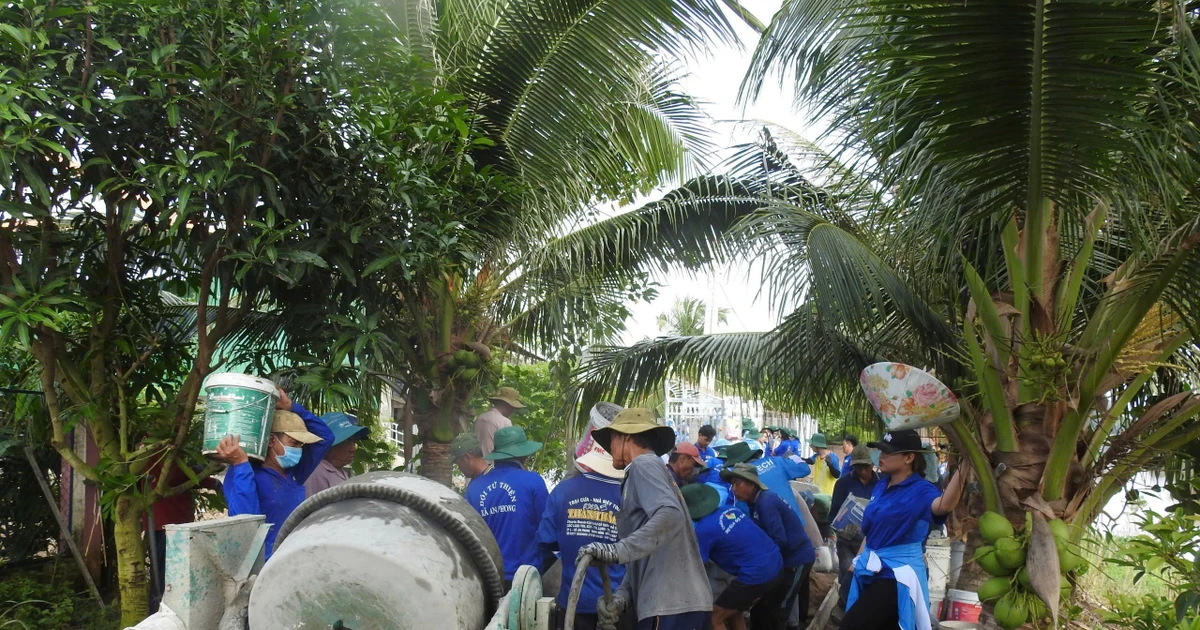 Hạt giống đỏ từ Mùa hè xanh - Bài 2: Trách nhiệm trên vai người trẻ