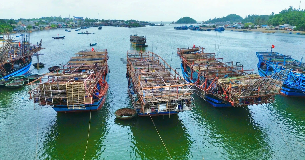 Lý do ngư dân Quảng Ngãi ra cảng cá Đà Nẵng xác nhận nguồn gốc, bốc dỡ hải sản