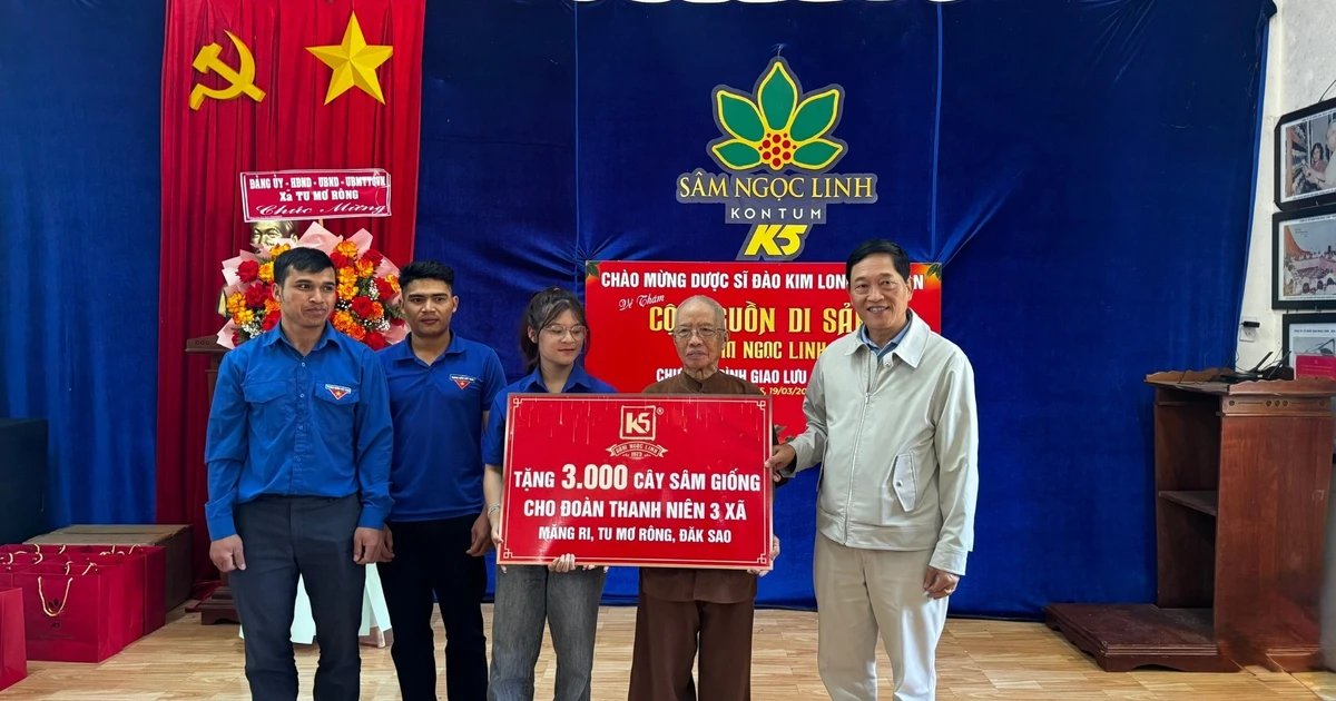 Thanh niên học khởi nghiệp từ 'quốc bảo' sâm quý