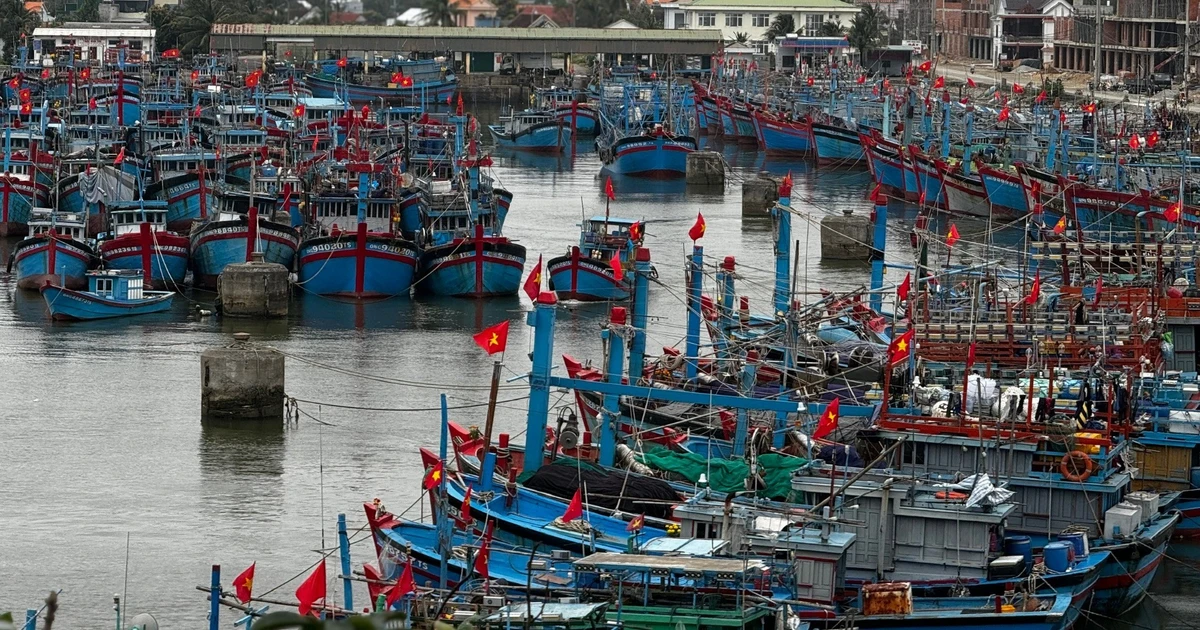 Cảng cá ở Quảng Ngãi vắng ngắt, hàng nghìn tàu thuyền ‘nằm bờ’ vì biển động