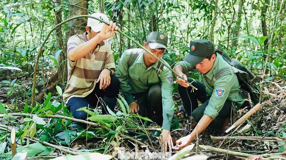 Bóc gỡ ‘ma trận’ bẫy thú trong rừng Chư Mom Ray