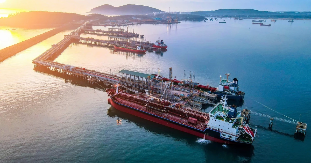 Quảng Ngãi công bố 3 khu vực nhận chìm chất nạo vét ở biển