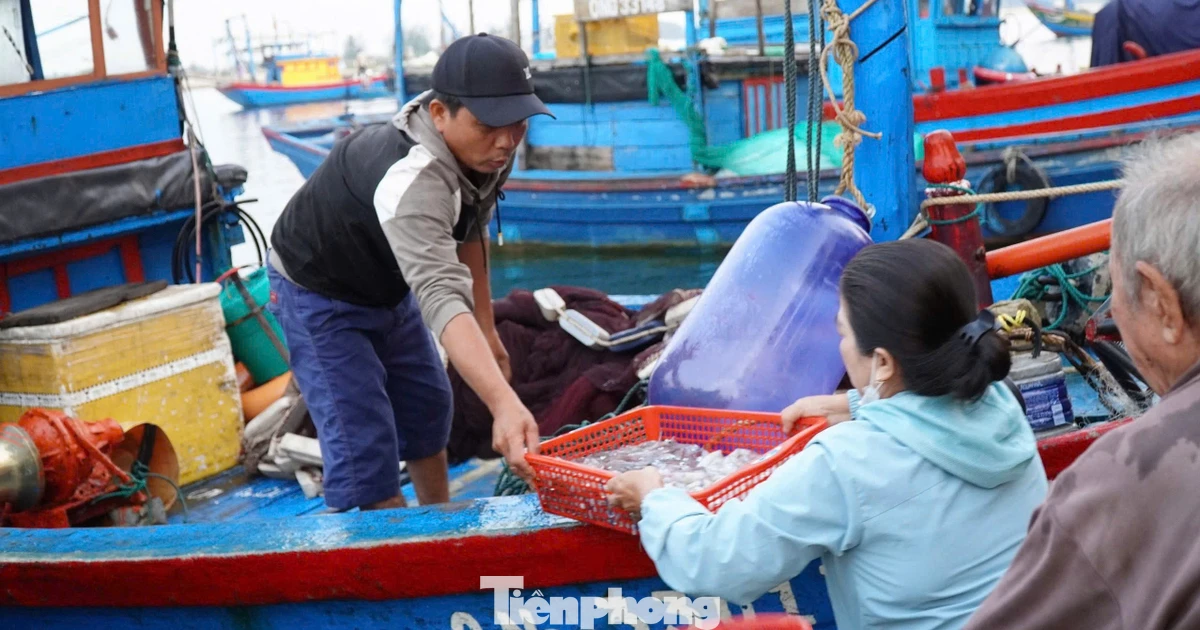 'Đột nhập' chợ mực Cửa Lở lúc rạng sáng