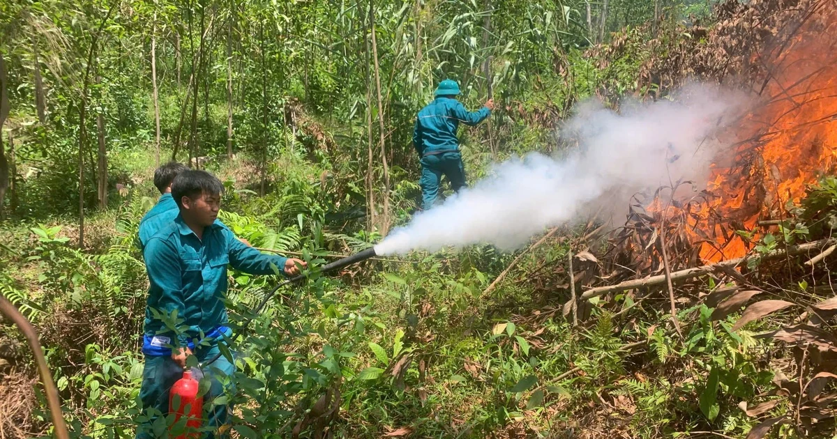 Đốt thực bì giữa nắng nóng, lửa cháy lan đồi keo