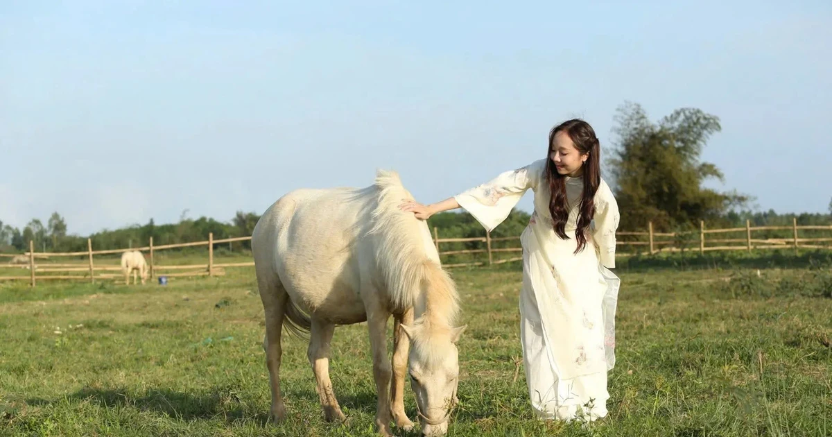 Bạch mã dưới chân Thiên Mã