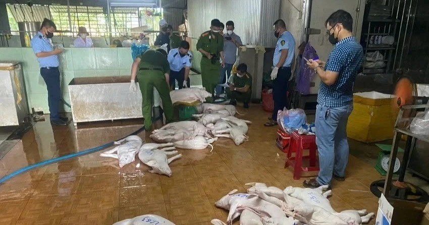 Công an Quảng Ngãi siết chặt các lò mổ, ngăn lợn bệnh tuồn ra chợ trong dịp Tết