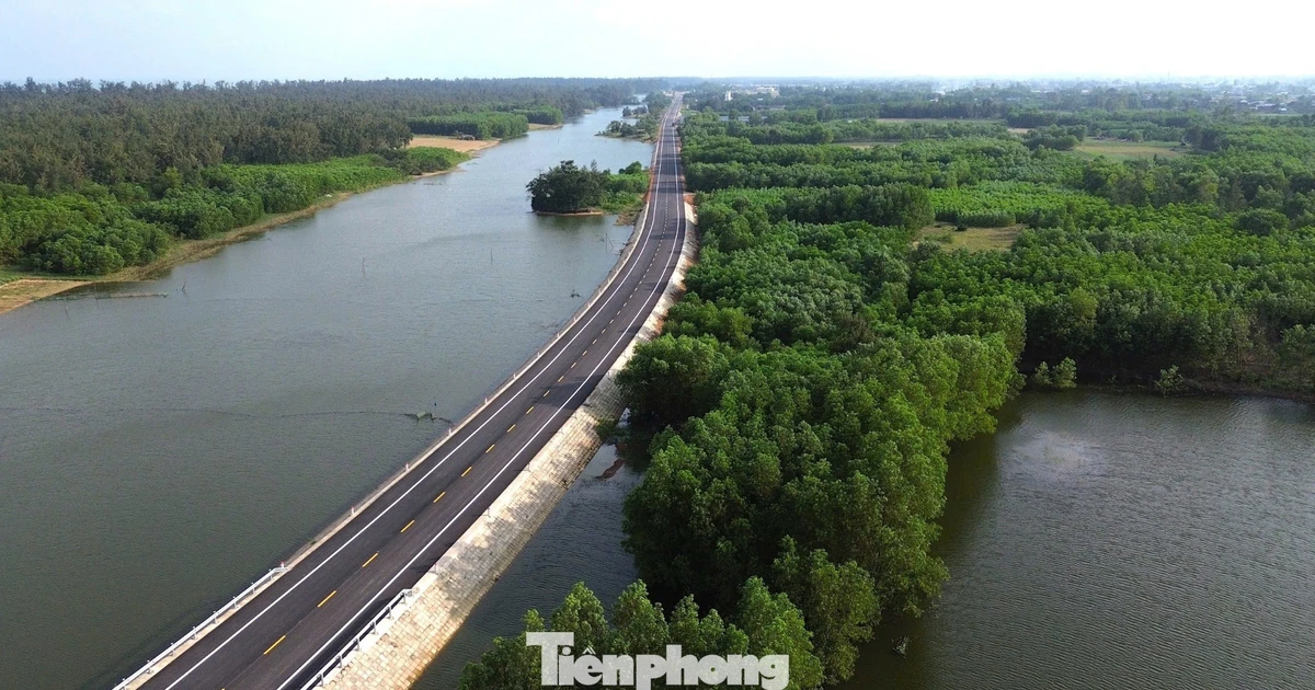 Ngắm cung đường ven biển băng qua rừng dương, cồn cát đẹp bậc nhất Quảng Ngãi