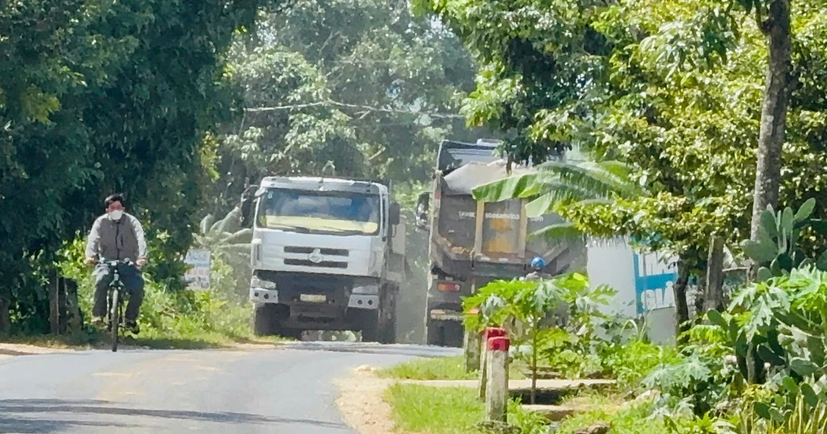 Xe tải, xe đầu kéo chở cát ‘đại náo’ tỉnh lộ 677 ở Quảng Ngãi