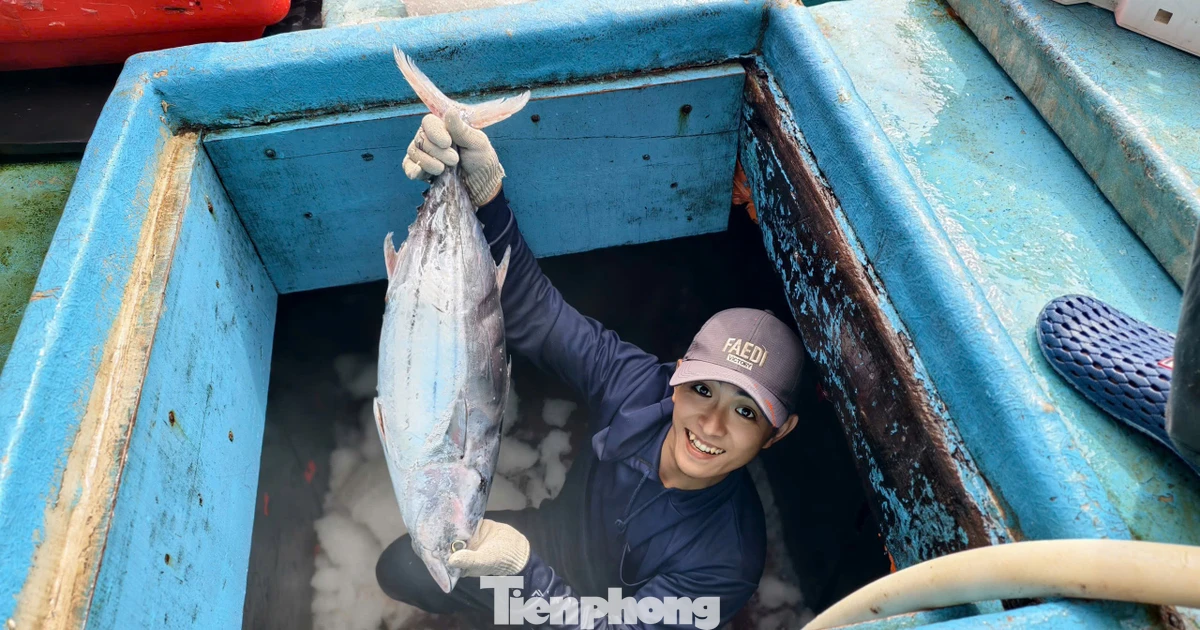 Cận cảnh ngư dân Quảng Ngãi khui hầm cá ngừ đại dương trước 'bão' giá nhiên liệu