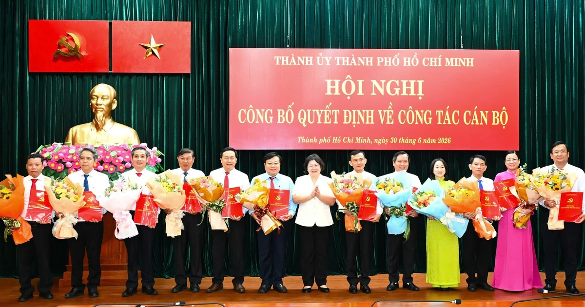 Thành ủy TPHCM điều chuyển 12 cán bộ chủ chốt về các phường, xã