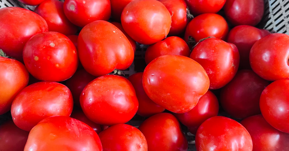 Cà chua tăng giá kỷ lục tại chợ Hà Nội: 85.000 đồng/kg vẫn bán sạch, bà nội trợ 'choáng váng'